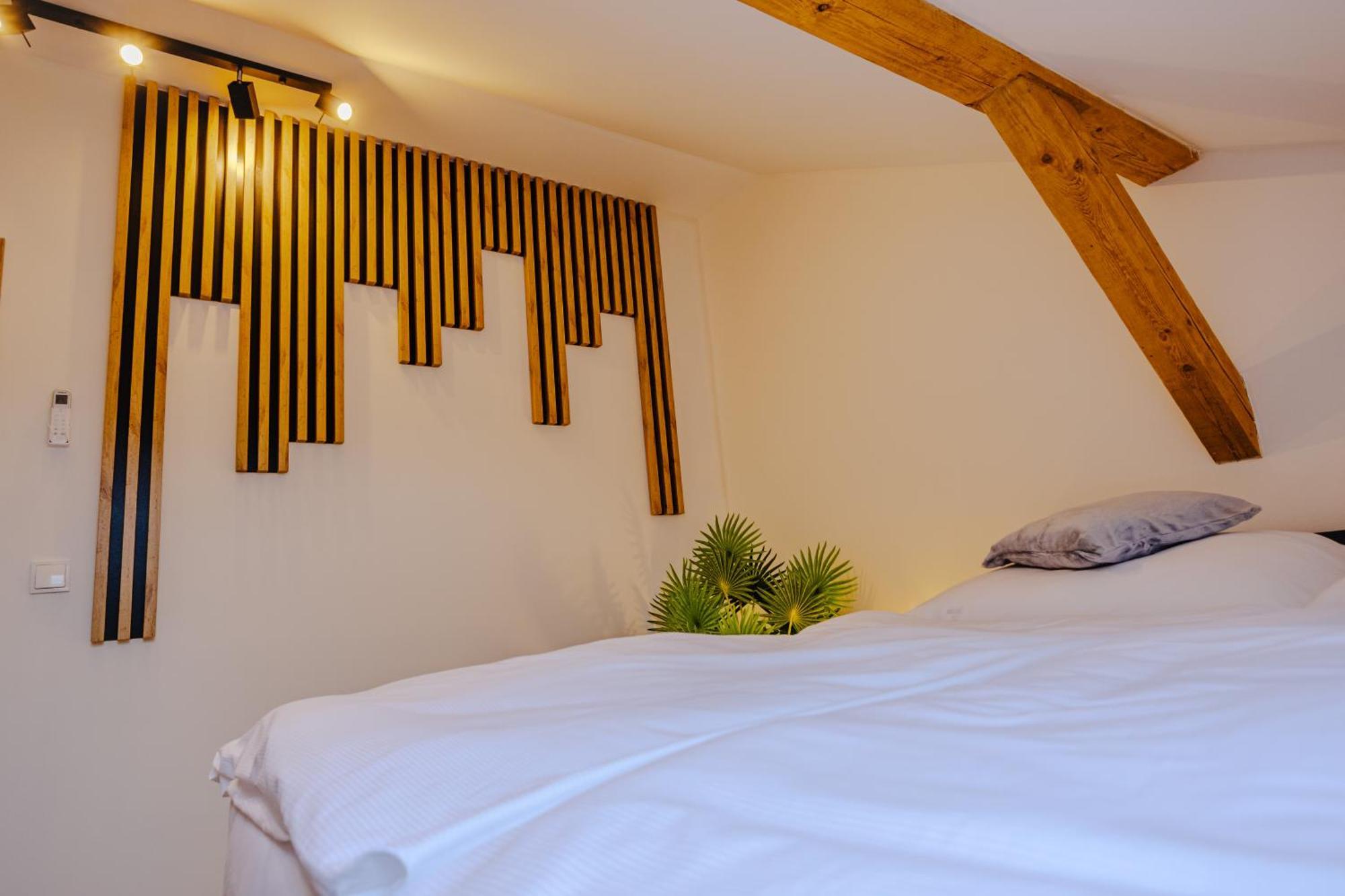 Rezidence Petra Voka Apartment Trebon Luaran gambar
